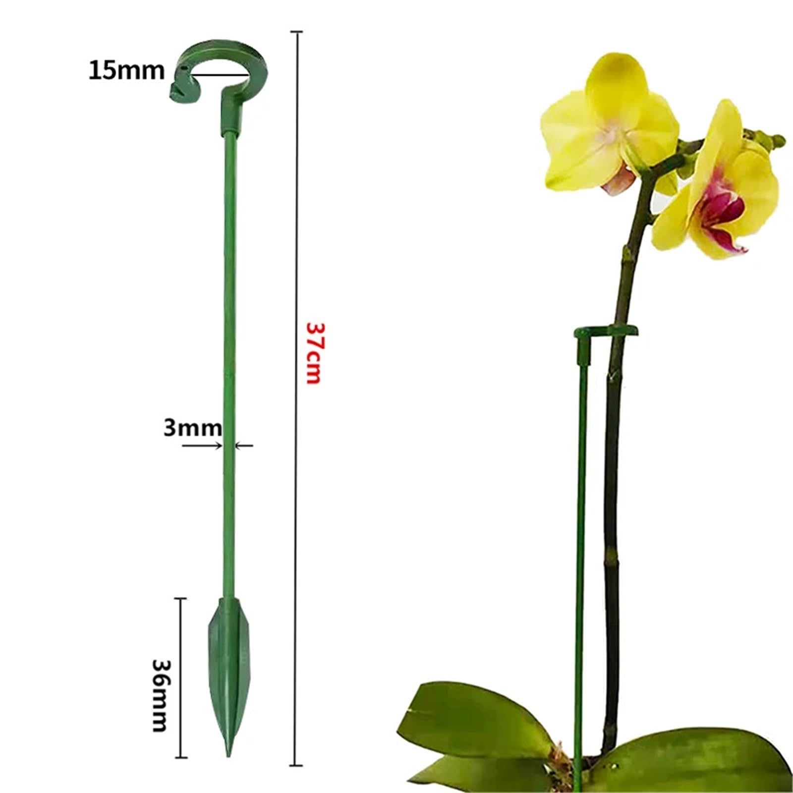 30pcs Plastic Plant Supports für Pfingstrosen, Monstera