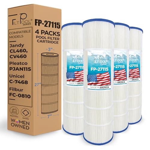 Pool Filter Cartridge Replacement 4-Pack (115 SQFT)