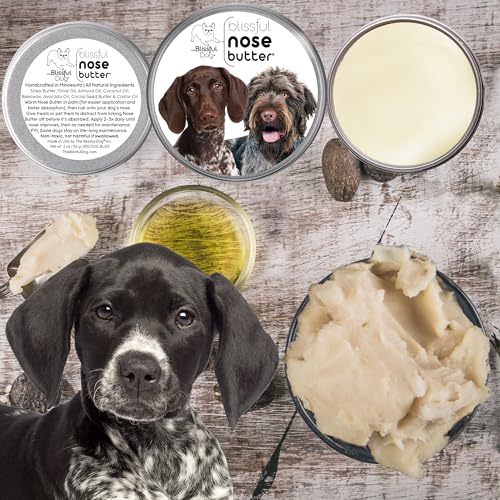Image of The Blissful Dog German Shorthaired Pointer Unscented Nose Butter - Dog Nose Butter, 4 Ounce