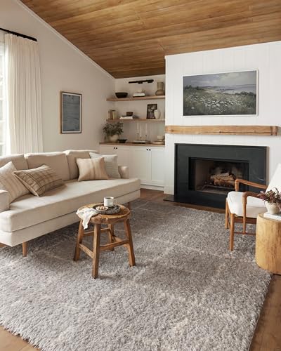 Image of Loloi Angela Rose Amira Silver /Ivory 2'-3 inch x 4'-0 inch Accent Rug
