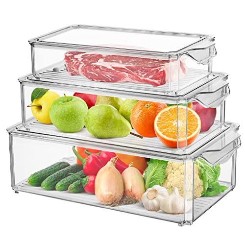 Hossejoy Juego de 3 organizadores para frigorífico, caja de almacenamiento con tapa, transparente, ideal para cocinas, frigoríficos, armarios Cover