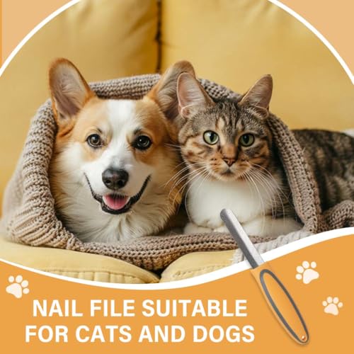 JUGUTA Premium-Nagel-Schleifstein Für Haustiere: Edelstahl-Krallenfeile, Für Eine Glatte Nagelkontur, Universell Für Katzen Und Hund(Orange)