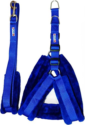 Petshop7 Fur Padded Nylon Dog Harness, Dog Leash Small (Chest Size - 23-28inch) Blue