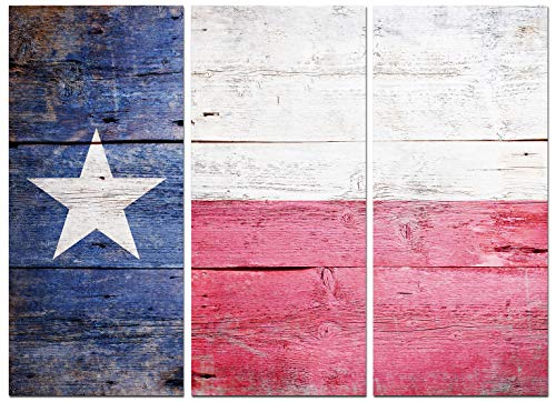 Texas Star Wall Art 48x36