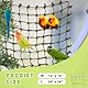 CQJ Papagei-Kletternetz Dschungelfieber-Seil – Spielzeug für Kleintiere wie Wellensittiche, Liebesvögel, Finken, Nymphensittiche, Conures (Größe L: 60 x 60 cm)