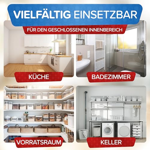 Patronus Schaben Power Fogger - 2x 150ml - effektiver Vernebler mit maximaler Sofortwirkung zur Abwehr von Schaben & Kakerlaken, ideal für kleine Schaben-Verstecke - aus deutscher Produktion