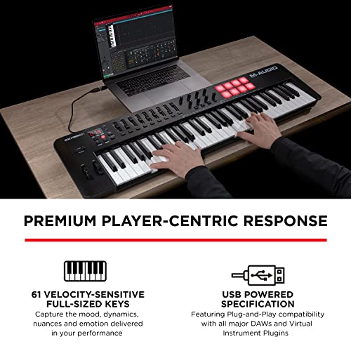 Teclados Y Pianos, Musical Instruments Imagen adicional