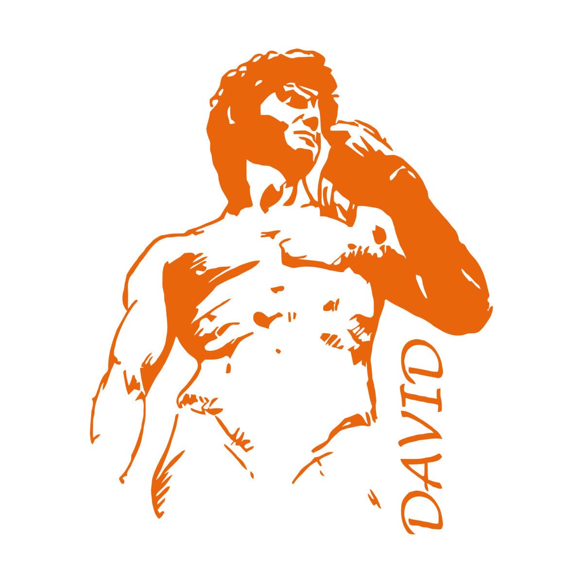 Wall Decals PVC Statue of David by Michelangelo Sculpture 51x61.4cm It Won't Fall Off Orange