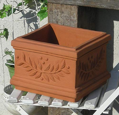 Amazon | ウィッチフォード テラコッタ植木鉢 スクエアプランター | 鉢