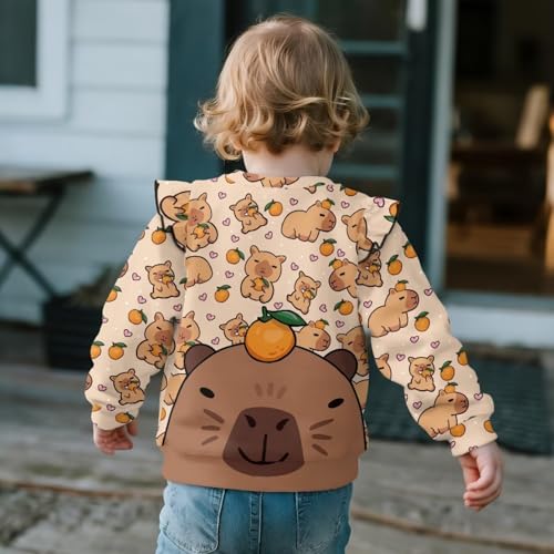 AFPANQZ Casual Ruffle Sweatshirt Crewneck Long Sleeve Tops Pullover Toddler Baby Girl Kids Child Fall Clothes4