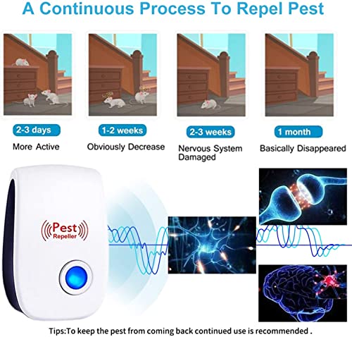 Ultrasonic Pest Repeller, Mouse Repellent, Indoor Pest Control, Pest Repellent Ultrasonic Plug In, Spider Repellent, Indoor Ultrasonic Repellent For Roach, Rodent, Mouse, Bugs, Mosquito, Mice, 6 Packs #TOP3