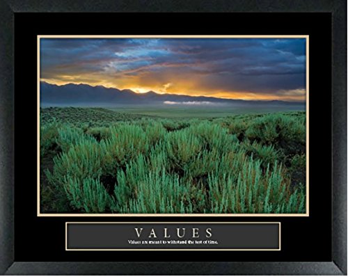 wallsthatspeak Framed Motivational Art Print 22x28 Inches (Values)