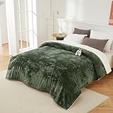 GarveeHome Heated Blanket Queen Size Electric Blanket with Dual Control, Velvet Soft Fast Heating Blankets Queen, 4 Heat Settings & 10H Auto Off, Machine Washable, ETL Certified, 84' x 90' Green