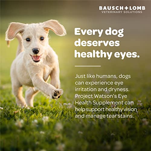 Project Watson Bausch + Lomb Dog Supplement, Contains Omega-3, Omega-6, Lutein, Zeaxanthin, and Vitamin A, Eyebright Herb Extract & Marshmallow Root to Help Reduce Eye Irritation, 60 Soft Chews Project Watson Bausch + Lomb Dog Supplement, Contains Omega-3, Omega-6, Lutein, Zeaxanthin, and Vitamin A, Eyebright Herb Extract & Marshmallow Root to Help Reduce Eye Irritation, 60 Soft Chews