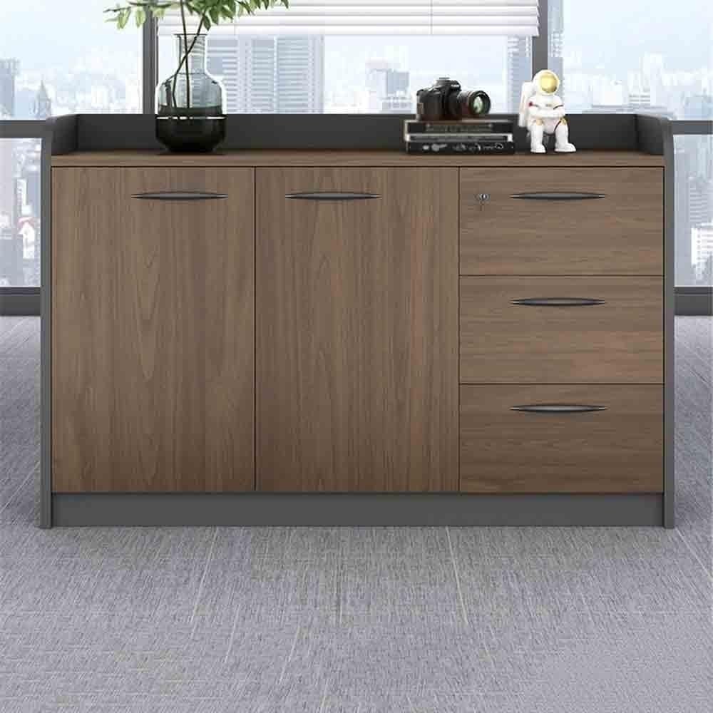 Multifuncionales Archivador bajo de Oficina Tres Puertas y cajones Madera con asa, Almacenamiento Datos, Cajonera Oficina(Bruin)