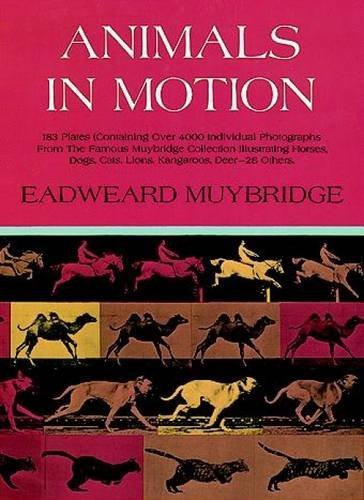 Amazon.co.jp: Animals in Motion (Dover Anatomy for Artists) by Eadweard Muybridge(1957-06-01) : 本