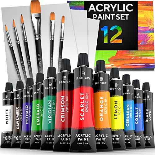 Acrylic-Paint-Set-for-Kids-Artists-and-Adults-12-Vibrant-Colors-6-Brushes-and-3-Paint-Canvases-Perfect-for-Beginners-or-Professionals