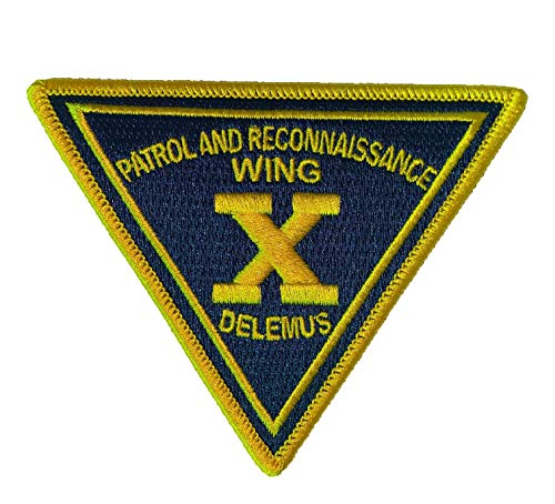 Squadron Nostalgia LLC Patrol Wing 10 Patch – Sew On, 4.5