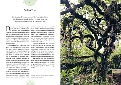 Witch's Forest: Trees in magic, folklore and traditional remedies (Royal Botanic Gardens, Kew)
