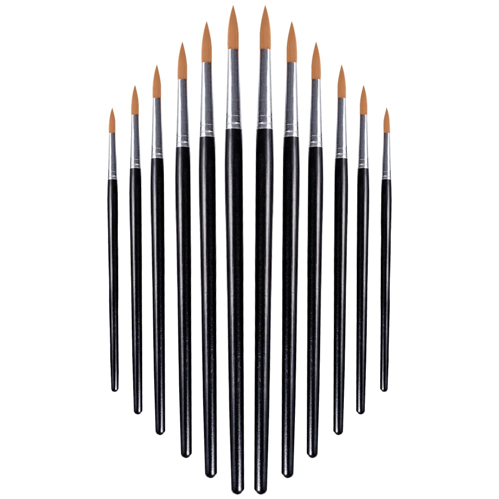 Paint Brush for Artists - Artist Brushes with 12 Different sizes | Acrylic, Oil & Watercolour Brushes for Painting | Best Oil Paint Brushes - Watercolour Paint Brushes | Concept4u