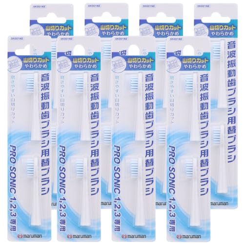 2{ }} ~j/v\jbN1E2E3ERpNgp ւuV DK001N2 R؂ (8Zbg) zCg