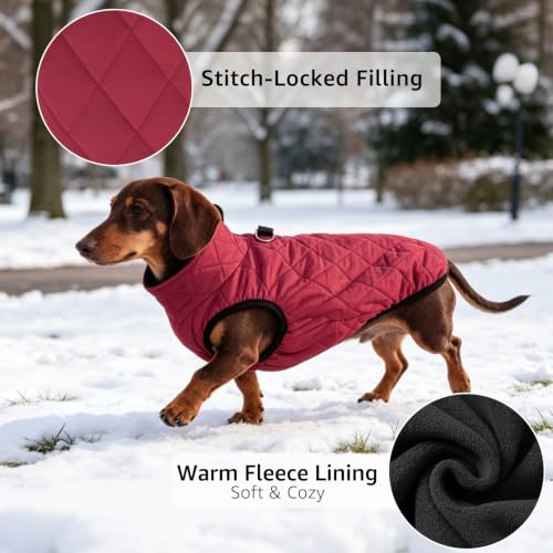 Image of SCENEREAL Dachshund Winter Dog Vest Coat with Harness Built in