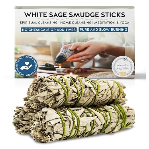 Alternative Imagination White Sage Smudge Kit