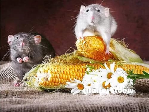 Peinture diamant souris animale 5D puzzle art 80x110cm