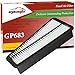 EPAuto GP683 (17801-0P010 / CA9683) Toyota Replacement Extra Guard Rigid Panel Engine Air Filter for 4Runner (2003-2009), FJ Cruiser (2007-2010), Tacoma (2005-2015), Tundra (2005-2011)