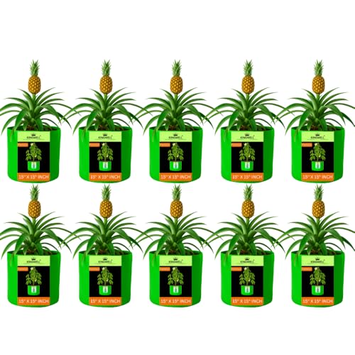 Image of Kingwell grow bags 15x15 inch pack of 10 Grow Bag For Terrace Garden Leafy Vegetable Plant Grow Bags Fruits Growing Containers For terrace Gardening
