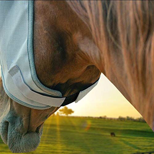 elastic hook and loop extender strap adds length to most ice packs belts ankle brace knee brace back brace vests and more - improve comfort and fit - extension strap - black 434 x 934