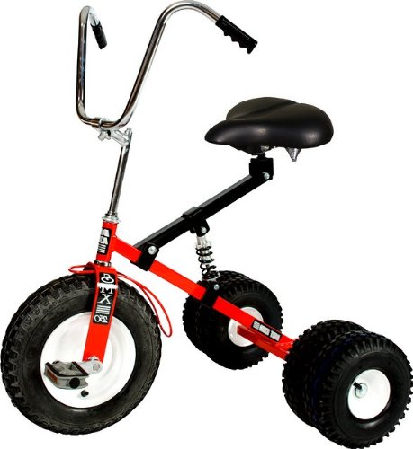 riding an adult tricycle