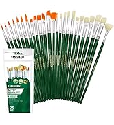 AUREUO Acrylic Paint Brush Set 25 PCS Anti-Shedding Bristles & Flat Round Pointed Tip Nylon Brush...