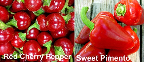 Harley Seeds This is A Mix!!! 30+ Sweet Pepper Mix Seeds, 12 Varieties Heirloom Non-GMO, Pimento, Purple Beauty, from USA, green - Image 7
