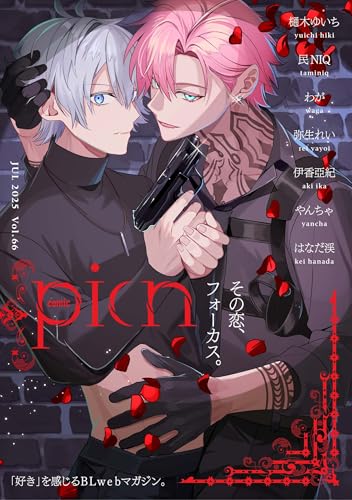 comic picn vol.66 (picn comics)
