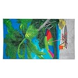 J & M Home Fashions Beach Towel, 40 by 70-Inch, Beach Chair and Umbrella Fiber Reactive Print