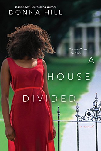 A house divided (the family secret series book 1)