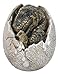 Ebros Gift Jurassic Era Predator Tyrannosaurus Rex In Egg Dinosaur Figurine Dino Hatchling Egg Crackling Baby Collectible Sculpture Of Prehistoric Giant Animals Ice Age Land Before Time Fossil Replica