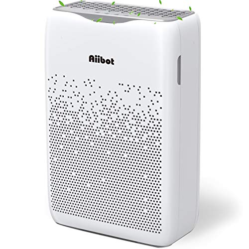 Aiibot Purificateur dAir, Véritable HEPA et Filtre à Charbon Actif, Éliminateur de Poussière, Pollen et Mauvaises Odeurs qvec Minuterie & Anion pour Maison Bureau (Gray-White)