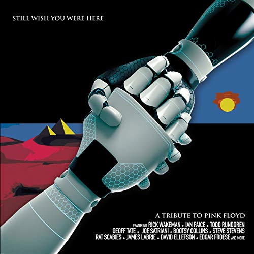 Album art for Pink Floyd Tribute: Still Wish You Were Here / Various by Various Artists