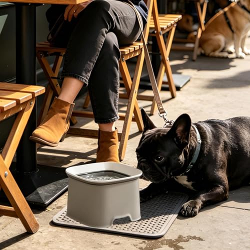 Gamelle d'eau pour chien anti-déversement de qualité supérieure pour maison propre