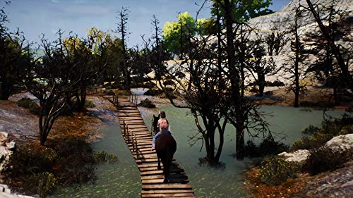 Whisper : Ari La Cavalière Intrépide Ps4 - vue 5