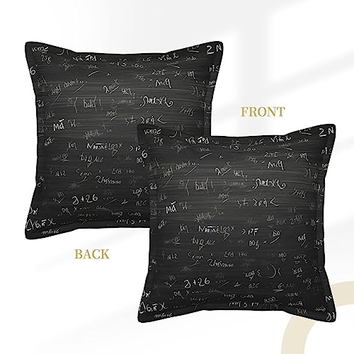 Housse de coussin en cuir 45,7 cm, solution durable contre les taches - 3