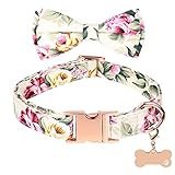 Girl Dog Collars Small Dog Collars Adjustable Bowtie Dog Collar with Dogs Name Tag