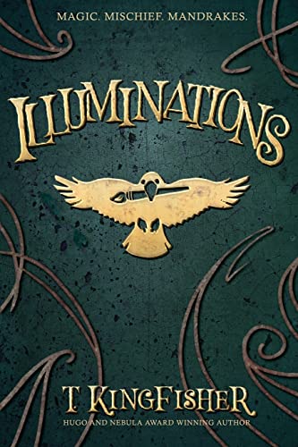 Illuminations view 2