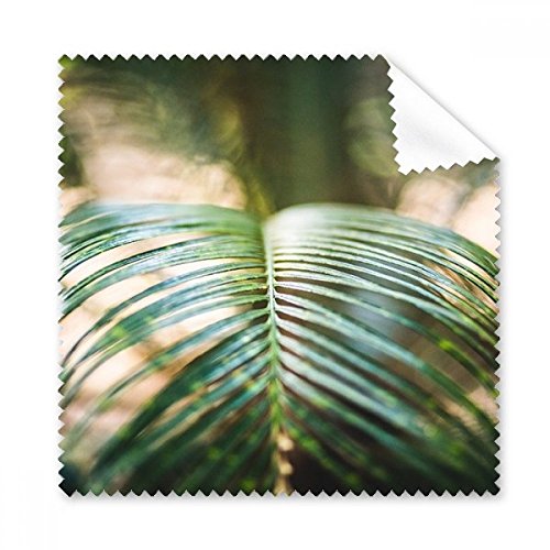 ΂̗t A G R N[jONX gѓdb XN[ Kl N[i[ 5