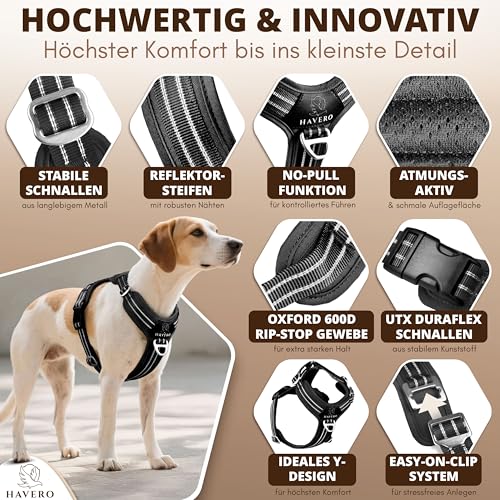 HAVERO Hundegeschirr Easy-On-Clip – [Kein Überkopfziehen] | Anti-Zug Y-Geschirr Gepolstert Reflektierend Atmungsaktiv Brustgeschirr – kleine, mittelgroße & Grosse Hunde Geschirr (Schwarz, M)