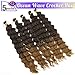 Starlovely 24 Inch Long Deep Wave Synthetic Crochet Hair T27 Ocean Crochet Hair Extensions 5 Packs Boho Box Braids Crochet Hair For Women Ocean Wave Hair