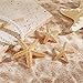 Bocar Gold Starfish Pendant Necklace Earring for Women Starfish Rope Chain Necklace Set Beach Choker Necklace (NK-10761-Starfish)