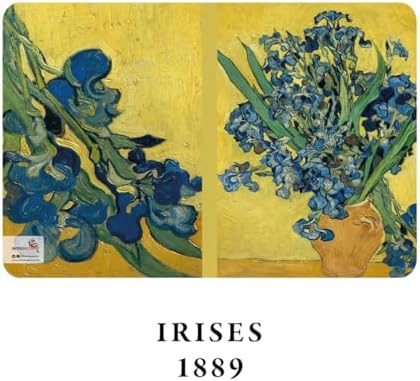 Retronote Flowers Series - A6, Van Gogh 4'lü Defter Seti III, Çizgisiz, Toplam 192 Sayfa, Her biri 48 Sayfa, Tel Dikiş, Esnek Kapak, Oval Kenar, Tuval Doku, 60 gram, Sarı Krem Renk - Görsel 3